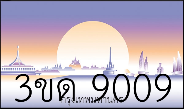 3ขด 9009